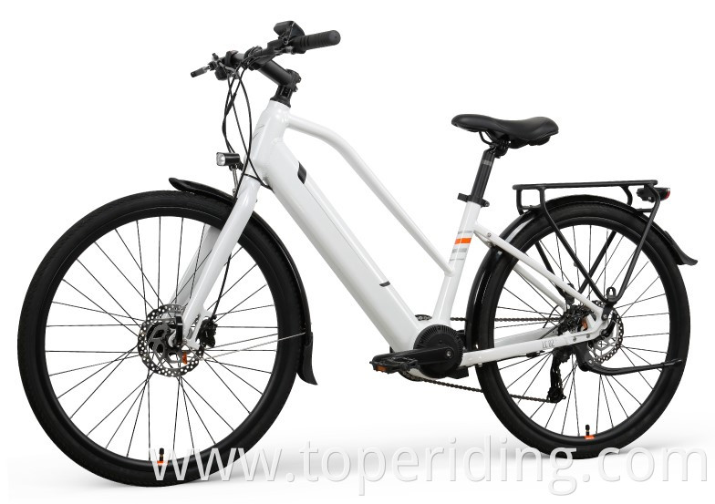 26 Inch Electric Bike